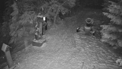 Bílá - běžecká trať