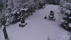 Bílá - běžecká trať