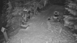 Bílá - běžecká trať