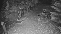 Bílá - běžecká trať