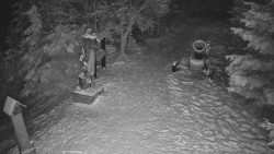 Bílá - běžecká trať