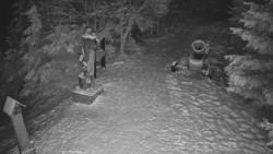 Bílá - běžecká trať