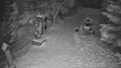 Bílá - běžecká trať