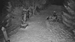 Bílá - běžecká trať