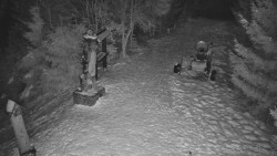 Bílá - běžecká trať