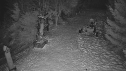 Bílá - běžecká trať