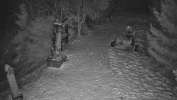 Bílá - běžecká trať