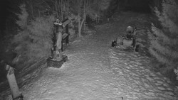 Bílá - běžecká trať