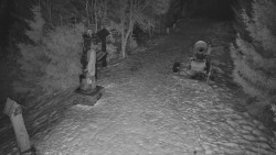 Bílá - běžecká trať