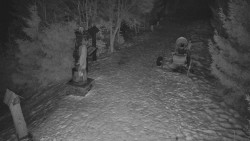 Bílá - běžecká trať