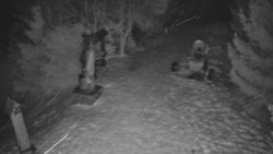 Bílá - běžecká trať