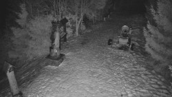 Bílá - běžecká trať