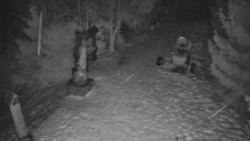 Bílá - běžecká trať