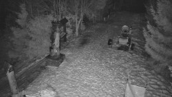 Bílá - běžecká trať