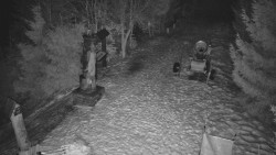 Bílá - běžecká trať