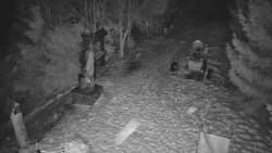 Bílá - běžecká trať