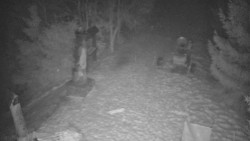 Bílá - běžecká trať