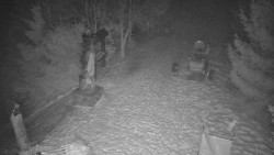 Bílá - běžecká trať