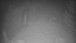 Bílá - běžecká trať