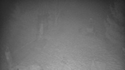 Bílá - běžecká trať