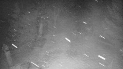 Bílá - běžecká trať