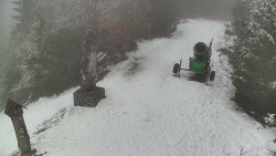 Bílá - běžecká trať