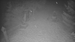 Bílá - běžecká trať