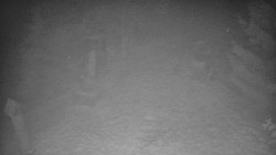 Bílá - běžecká trať