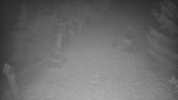 Bílá - běžecká trať