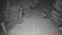 Bílá - běžecká trať