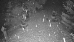 Bílá - běžecká trať