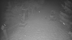 Bílá - běžecká trať