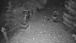 Bílá - běžecká trať