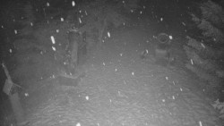 Bílá - běžecká trať