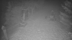 Bílá - běžecká trať