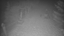 Bílá - běžecká trať