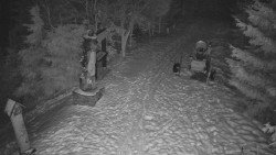 Bílá - běžecká trať