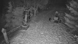 Bílá - běžecká trať