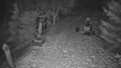 Bílá - běžecká trať