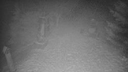 Bílá - běžecká trať