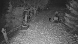 Bílá - běžecká trať