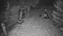 Bílá - běžecká trať