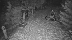 Bílá - běžecká trať