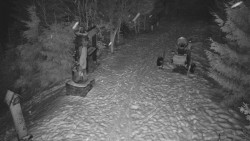 Bílá - běžecká trať