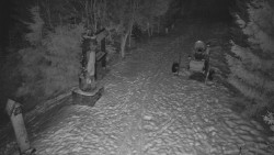 Bílá - běžecká trať