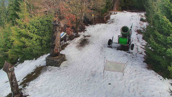 Bílá - běžecká trať