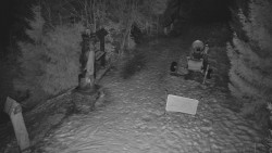 Bílá - běžecká trať