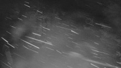 Bílá - běžecká trať