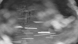 Bílá - běžecká trať