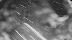 Bílá - běžecká trať